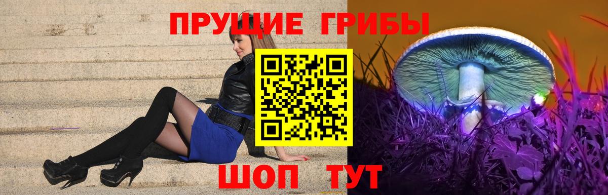 Псилоцибиновые грибы Cubensis  Вход с VPN  Юрга 