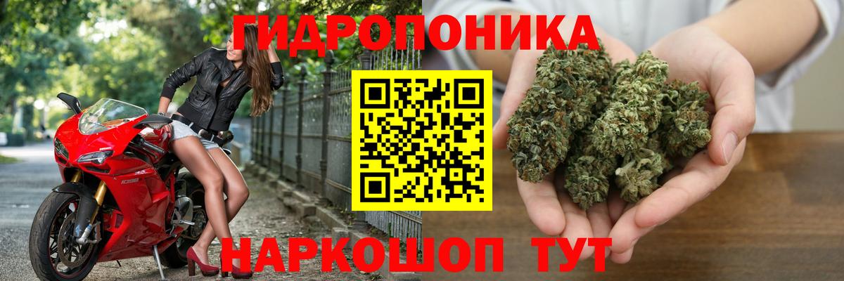 Марихуана план  Вход с VPN  Конопля White Widow  Юрга 